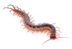 shutterstock 360316826